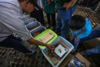 Tangani Sampah Organik, Pemkot Bandung Siapkan Hanggar Maggot di 151 Kelurahan dan TPS Gedebage/Foto -Bandung.go.id