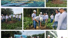 Pengurus PT. Socfindo Kebun Lae Butar Saat Pelaksanaan TAHIROE Aceh Tahun 2024.
(Foto Dok PT. Socfindo Kebun Lae Butar)