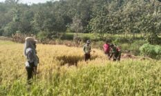 berita-pilihan-foto