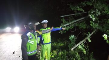 Polres Tebingtinggi Evakuasi Pohon Tumbang di Jalinsum Dolokmerawan