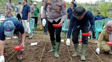 Polsek Bosar Maligas Dukung Program Ketahanan Pangan Jagung, Implementasi Visi Indonesia Emas 2045