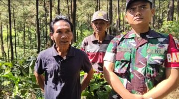 Dua Tahun Berlalu, Kondisi Terkini Lokasi Kebakaran Hebat di Gunung Lawu