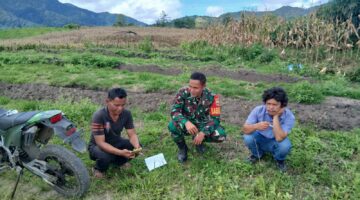 Babinsa Salak Patroli dan Komsos di Tengah Ladang Jagung, Perkuat Kebersamaan dengan Warga Kuta Tinggi