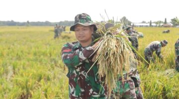 Sejauh Mana Peran Babinsa dalam Membantu Petani,..???