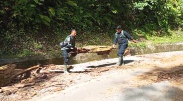 Reaksi Cepat,Tim Pendim Agara Bantu Singkirkan Pohon Tumbang Yang Menutup Akses Jalan dan membantu Masyarakat yang Kehabisan Minyak di Jalan Pegunungan
