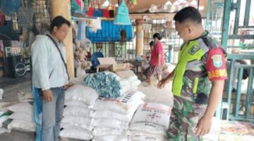 Babinsa Cek Ketersediaan Pupuk Dan Obat Pertanian