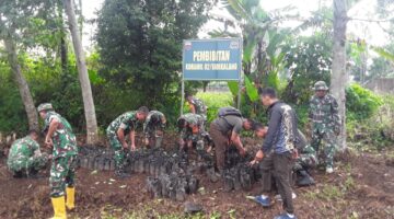 Koramil 02/Sidikalang Siapkan Ratusan Bibit Tanaman Keras untuk Penghijauan