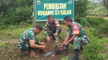 Koramil 07/Salak Bergerak,..!!! Siapkan Ratusan Bibit Tanaman Keras Demi Misi Penghijauan