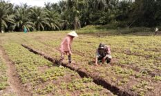 berita-pilihan-foto