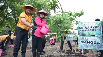 Hijaukan Gresik, Yayasan Kemala Bhayangkari Tanam Puluhan Pohon Produktif di Asrama Randuagung