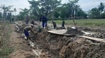 Pekerjaan Peningkatan Jalan Penghubung Antar Dusun di Desa Pasar Rawa Terus Dikebut,Ini Hasilnya