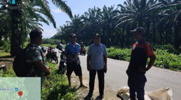 Anggota DPR dari Fraksi Golkar Apresiasi Respons Cepat PT Socfindo Perbaiki Jalan Rusak