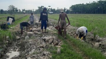 Pelebaran dan Pengerasan Jalan 1500 Meter di Rawa Badak Mendukung Aktivitas Ekonomi dan Sosial
