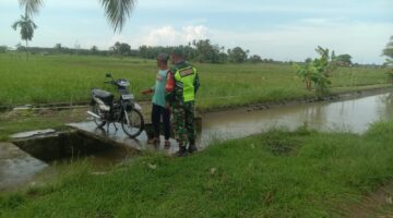 Jaga Ketahanan Pangan, Babinsa [Nama Desa/Kelurahan] Pantau Kondisi Air Irigasi di Musim Tanam
