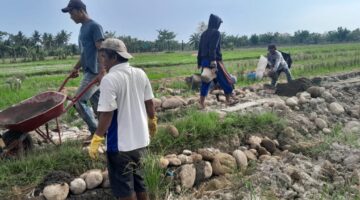 Hari Libur Pembuatan Sumur Bor dan Peningkatan Jalan Terus Dikerjakan Satgas TMMD 128 Kodim 0203/Lkt