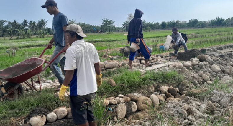 foto slider headline