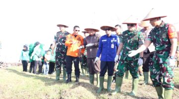 Persit KCK Berkarya, Pangdam XIX/Tuanku Tambusai dan Ketua Persit KCK Daerah XIX/Tuanku Tambusai Pimpin Tanam Mangrove di Bengkalis