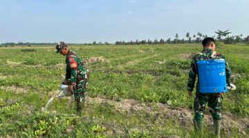 Sinergi TMMD 128: Membangun Asa Petani Semangka Desa Pasar Rawa 