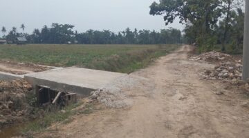 Peningkatan Jalan 1500 Rampung, Aktivitas Ekonomi Petani Gebang Berjalan Lancar