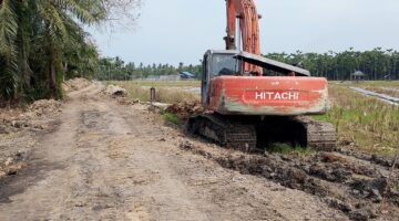 Jembatan dan Jalan 1500 M,Tingkatkan Kesejahteraan Masyarakat Petani Pasar Rawa 