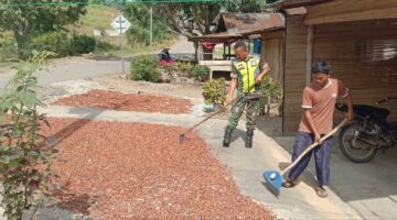 Jalin Kebersamaan Dengan Warga Masyarakat Babinsa Bantu Jemur Hasil Coklat