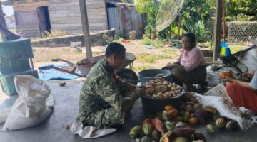 Babinsa Jalin Komsos Ke Desa Bantu Warga Kupas Coklat