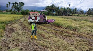 Tak Kenal Waktu Babinsa Selalu Hadir Ditengah Tengah Warganya