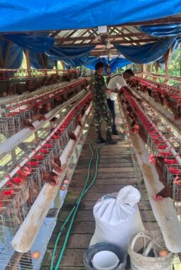 berita-rekomendasi-foto