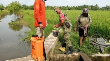 Turun ke Sawah, Babinsa Kodim 0103/Aceh Utara Bantu Petani Semprot Hama Padi