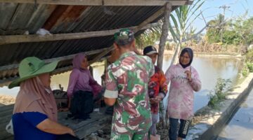 Babinsa Koramil 02/Seunagan Komsos Dengan Petani Di Desa Binaan