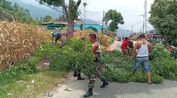 Babinsa Bersama Warga Gotong Royong Bersihkan Ranting Pohon di Jalan Raya
