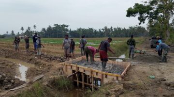 Perlancar Akses Jalan Desa dan Memperkuat Drainase ,TMMD 128 Gebang Membangun Plat Deker