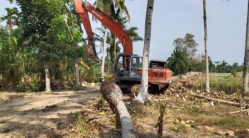 TMMD ke-128 Gebang Digenjot,Peningkatan Jalan 1500 Meter Perkuat Akses Warga Desa