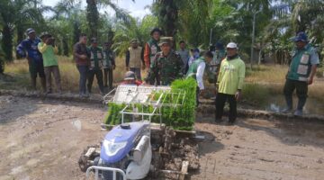 Dukung Ketahanan Pangan, Babinsa Koramil 02/TL Turun Langsung Dampingi Petani