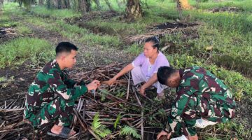 Manfaatkan Waktu Luang, Anggota Satgas TMMD Bantu Warga Meraut Sapu Lidi