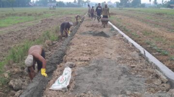 TMMD 128 Langkat: Jalan Baru, Desa Pasar Rawa Mulai Terhubung