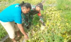 berita-pilihan-foto