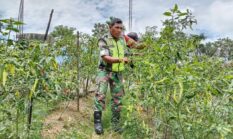 berita-pilihan-foto