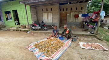Babinsa Koramil 06/Kerajaan Temui Petani yang Sedang Sibuk Mengupas Pinang di Desa Majanggut I