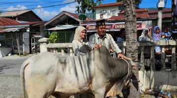 Qurban Presisi Polres Aceh Tenggara, Wujud Kepedulian dan Kebersamaan di Hari Raya Idul Adha 1447H