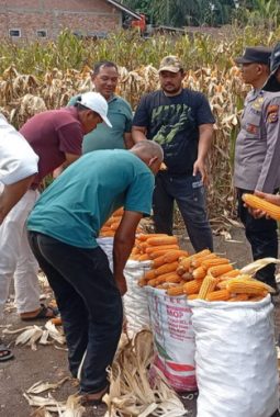 berita-rekomendasi-foto