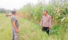 berita-pilihan-foto