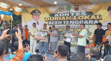 Kontes Durian Aceh Tenggara Pecah! Ucok Durian hingga Bolang Durian Diboyong, Petani Berpeluang Tembus Pasar Nasional