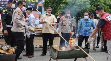 Pengabdian yang tulus selalu meninggalkan jejak. Kapolres Aceh Tenggara Pimpin Pemusnahan 161,9 Kilogram Ganja