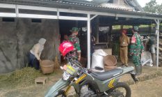 berita-pilihan-foto