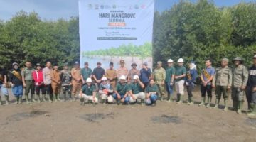 Peringati Hari Mangrove Sedunia, Pemkab Aceh Singkil dan PLB Tanam 3.000 Bibit di Pesisir Kilangan