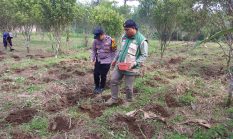 berita-pilihan-foto