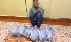 berita-pilihan-foto