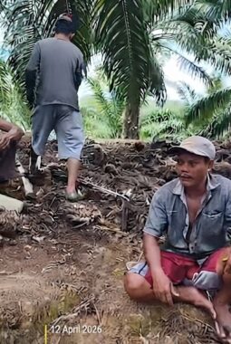 berita-rekomendasi-foto