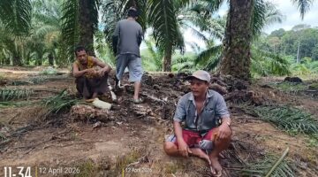 Kasus Pemalsuan Tanda Tangan: Jejak AJB Bermasalah dan Dugaan Penguasaan Lahan Warga Lae Saga, Penyidik Diuji